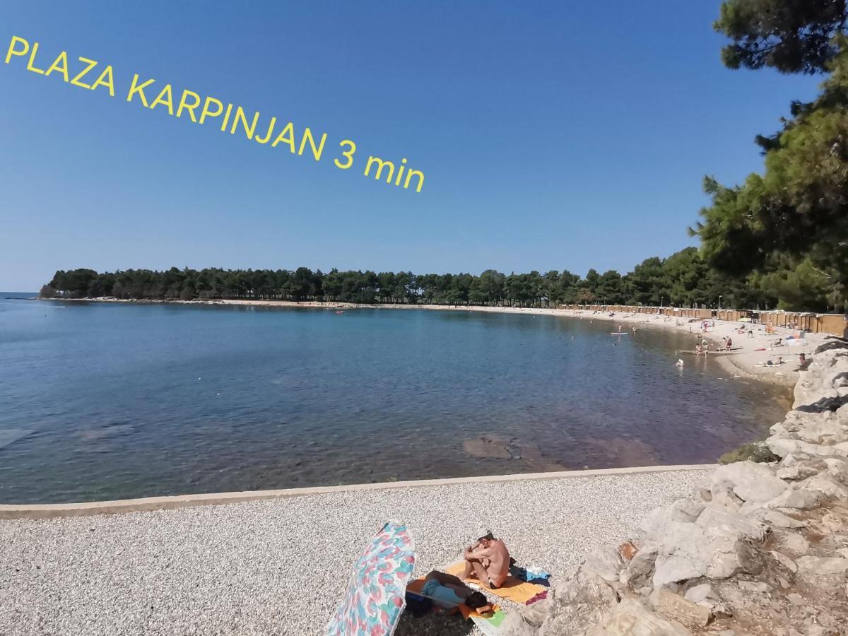 Apartman Hola Novigrad Istria Exteriér fotografie